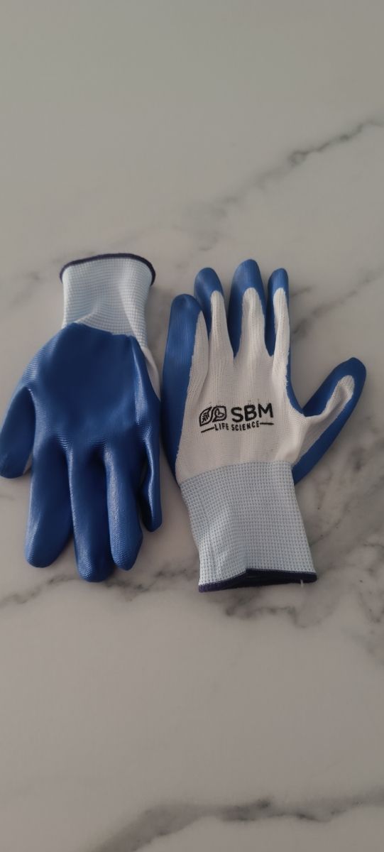 Zapato extrema segurida y regalo