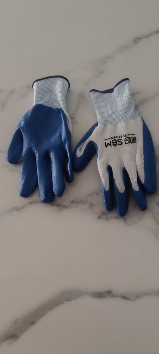 Zapato extrema segurida y regalo