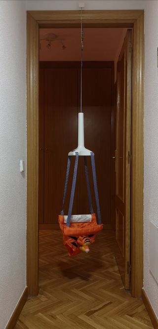 Columpio puerta Tiger 