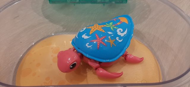 Pets Turtle Tank Tortuga Juguete Little Live Pets Live Pets