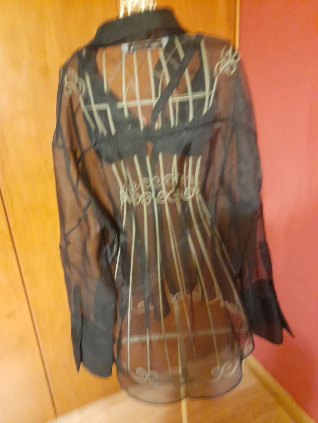 camisa zara transparencias