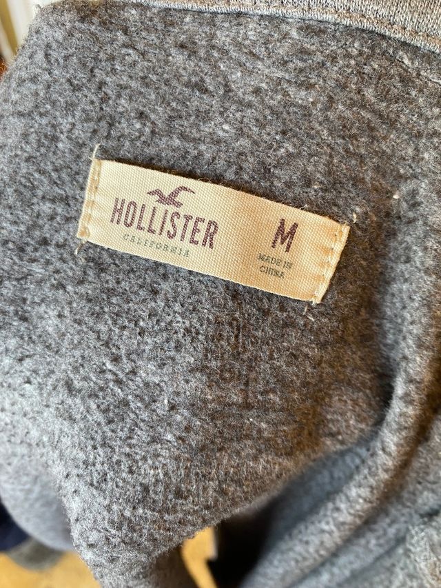 Sudadera hollister