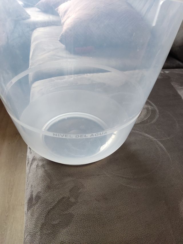 Bañera bebe Tummy Tub