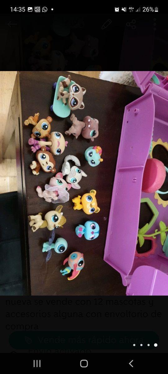 Littlest  Pet shop Casa jardín