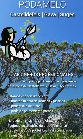 Jardineros profesionales, tala y poda pinos