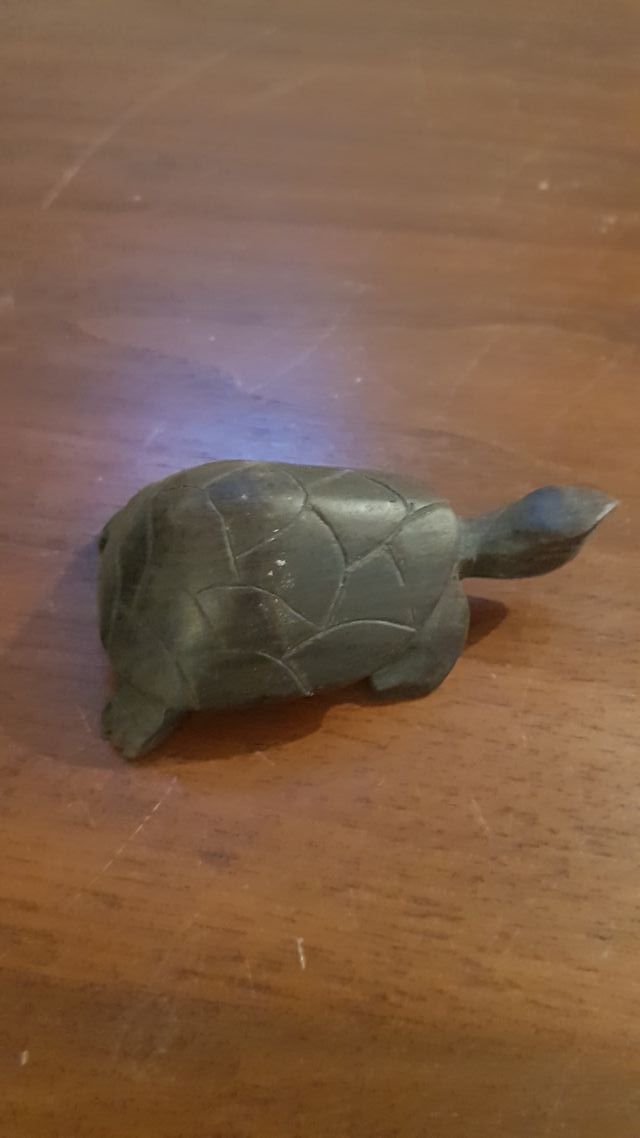 tartaruga in legno