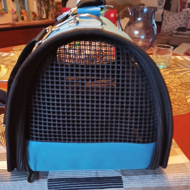 transpprtin mascota azul
