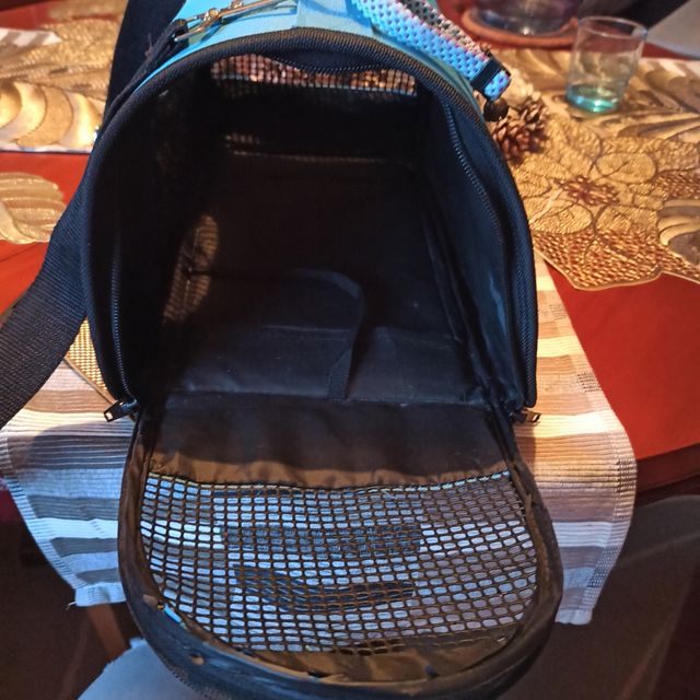 transpprtin mascota azul