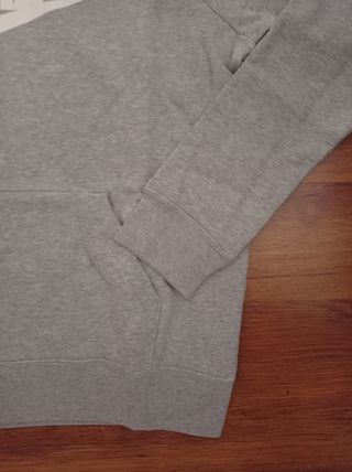 Sudadera Nike con Capucha Gris con Logo