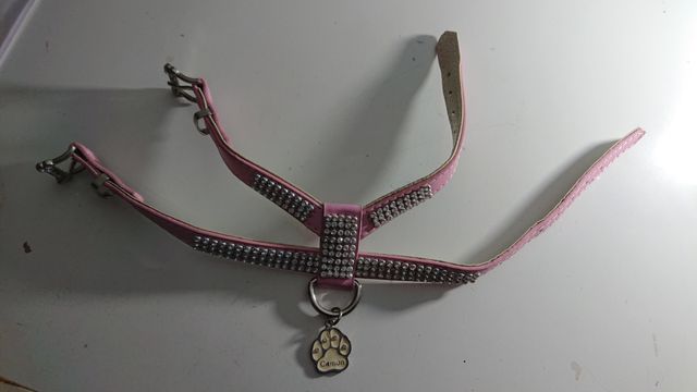 PETTORINA MASCOTTE CON STRASS