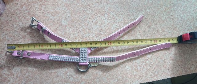 PETTORINA MASCOTTE CON STRASS