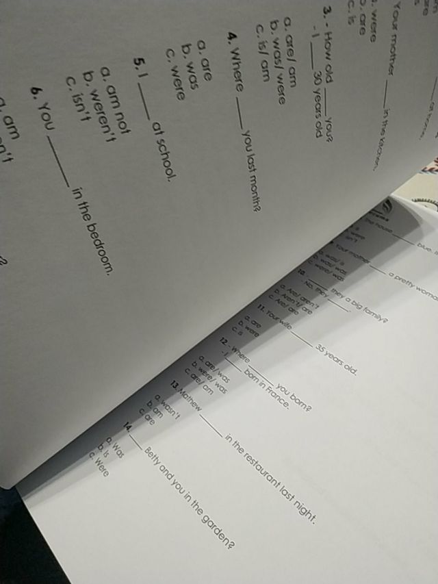 Libro inglese oppositions forces and bodies di Seg.