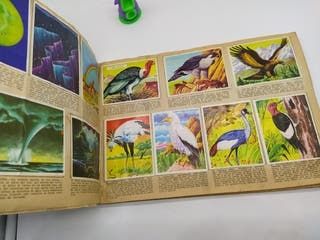 La naturaleza y el Hombre álbum de cromos 1967