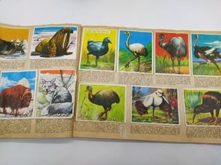 La naturaleza y el Hombre álbum de cromos 1967