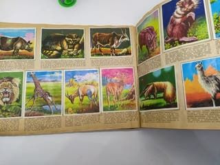 La naturaleza y el Hombre álbum de cromos 1967