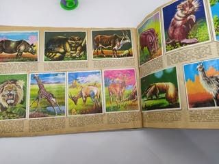 La naturaleza y el Hombre álbum de cromos 1967