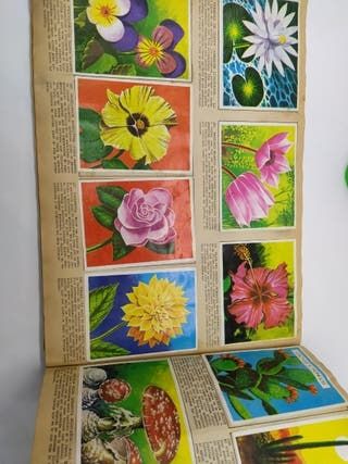 La naturaleza y el Hombre álbum de cromos 1967