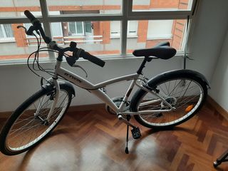 Bicicleta de mujer de paseo