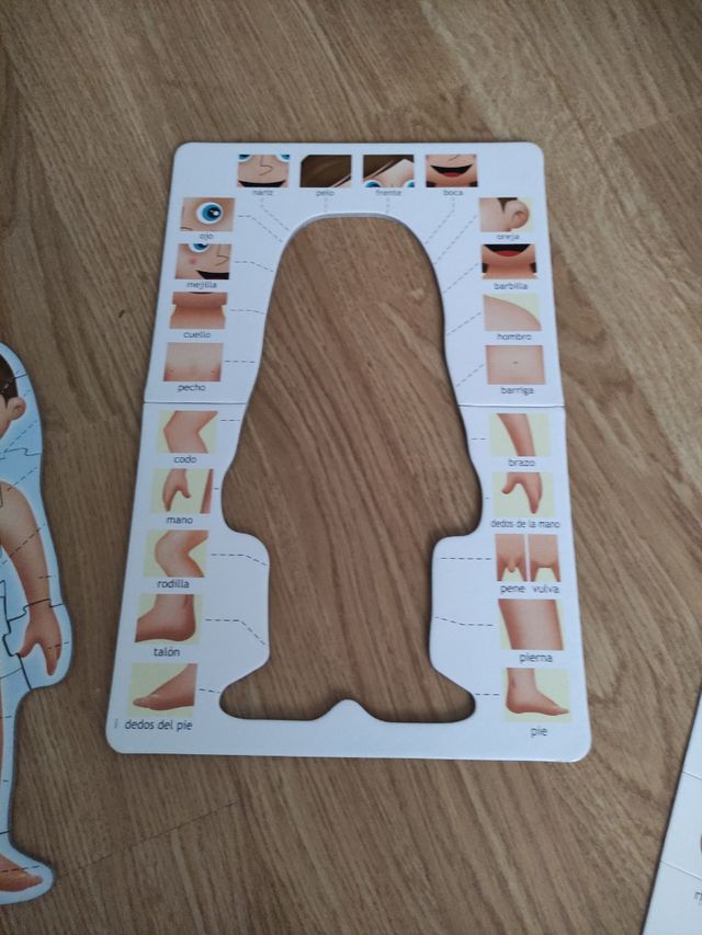 puzzle cuerpo humano para niños