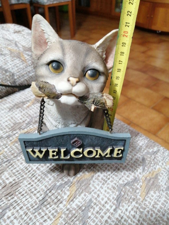 Gatto welcome