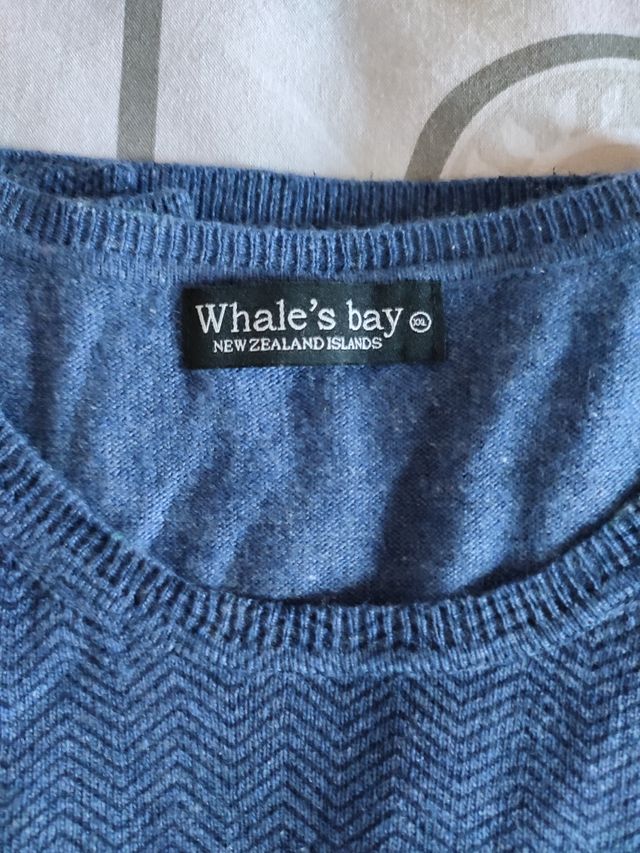 pullover Whales' Bay azzurro