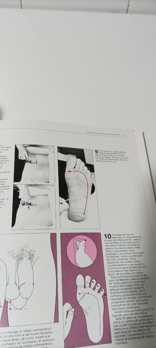 Nursing Photobook + regalo.