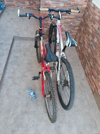 Dos bicicletas de Montaña, de ruedas 29" y 26"