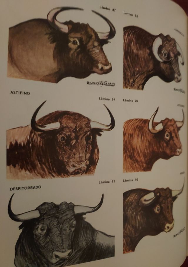 LOS TOROS DE ESPAÑA Vol. 3. CARLOS ORELLANA