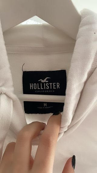 Sudadera Hollister