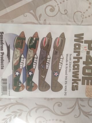 warhawks p-40e