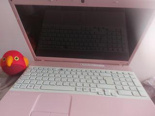 Sony Vaio Rosa