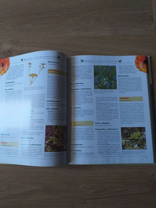 enciclopedia de medicina natural y salud.