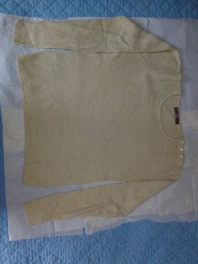 Jerseys de Caroll + regalo de 2 collares