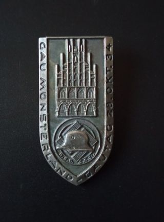INSIGNIA MILITAR N.S.D.