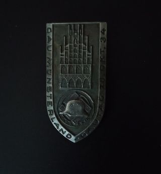 INSIGNIA MILITAR N.S.D.