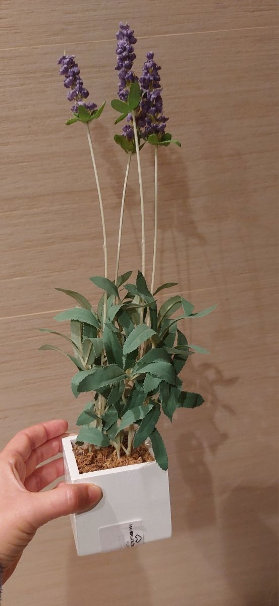 planta artificial lavanda