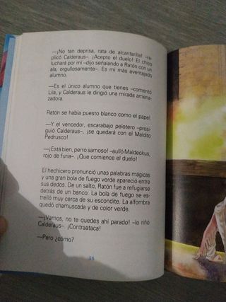 Mago por casualidad de Laura Gallego 