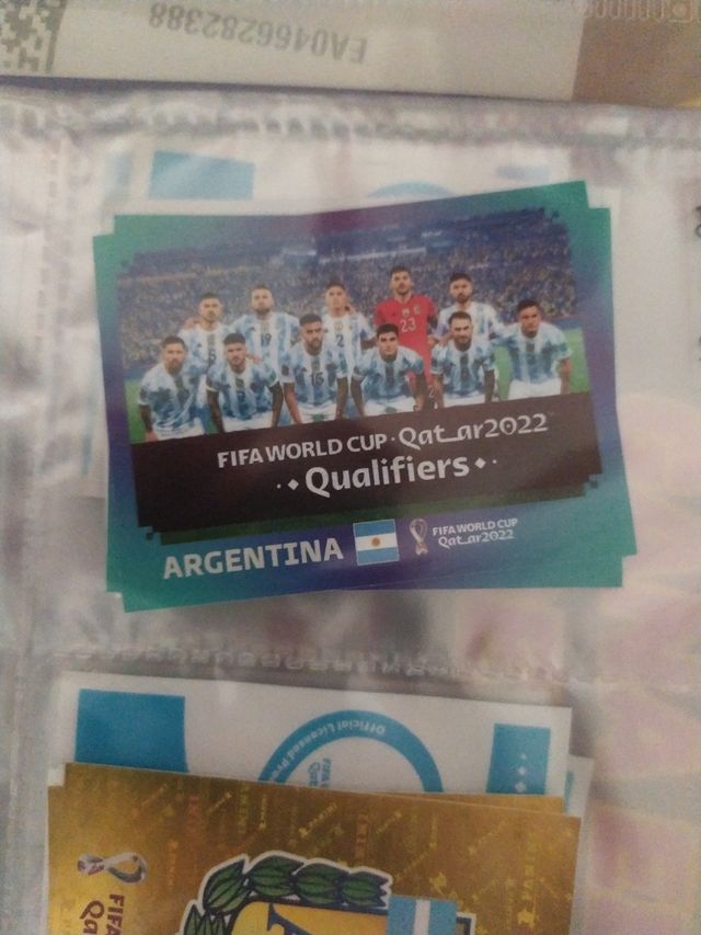qatar 2022. Selección Argentina