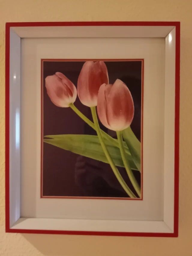 2 Antiguos Cuadros Decorativos, 1982