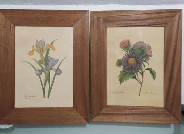 Cuadros de flores