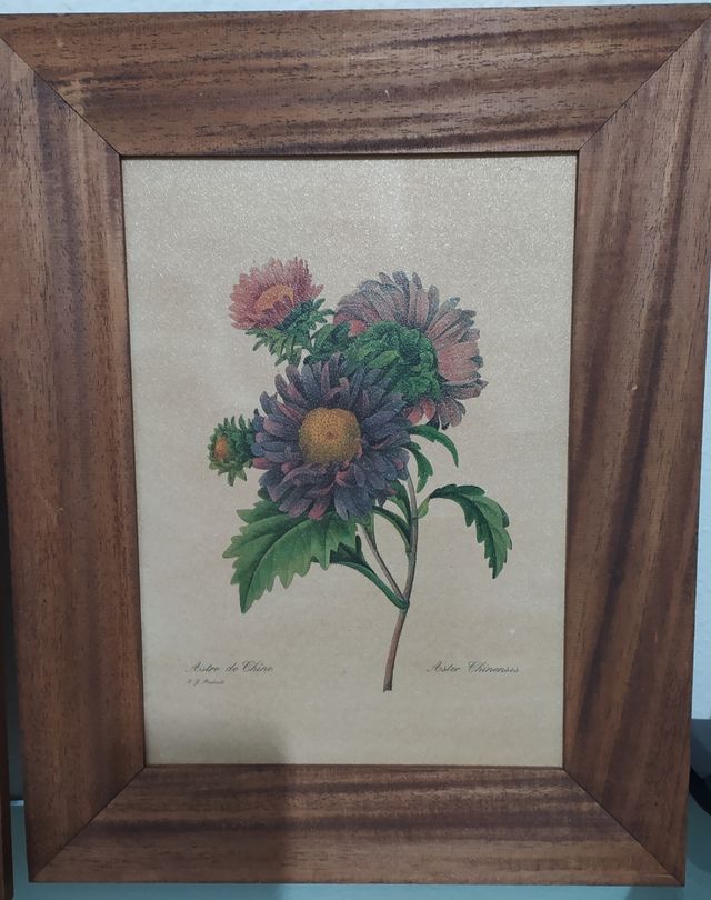 Cuadros de flores