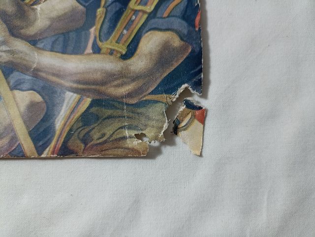 Lamina Falange Española