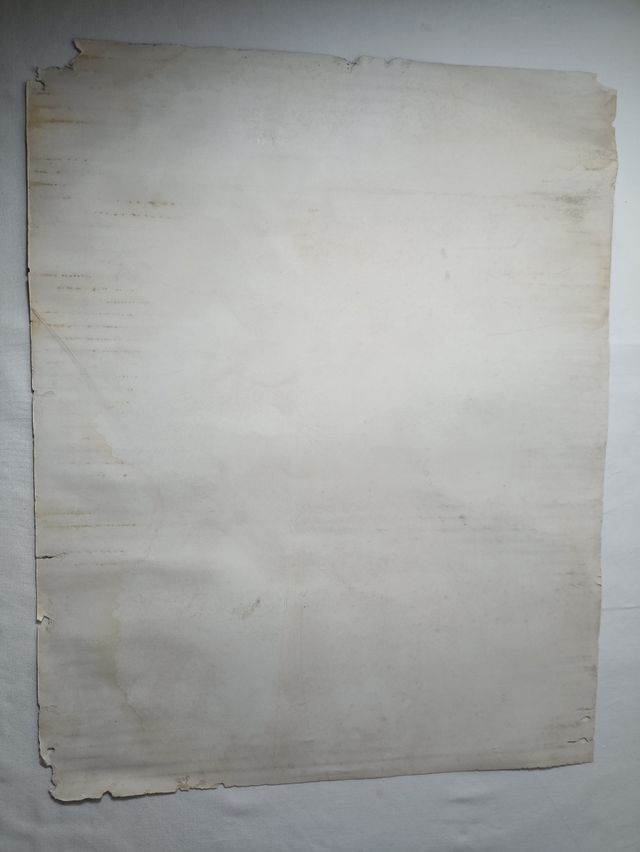 Lamina Falange Española