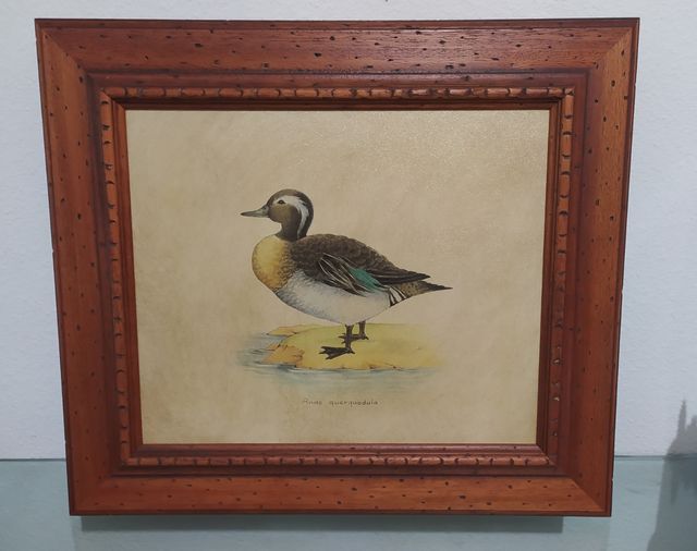 Cuadros de patos con marcos de madera.