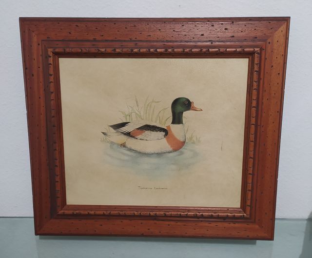 Cuadros de patos con marcos de madera.