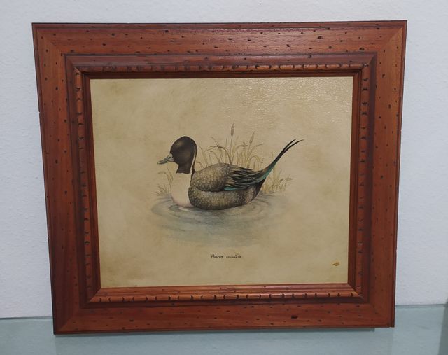 Cuadros de patos con marcos de madera.