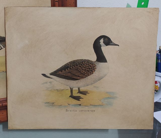 Cuadros de patos con marcos de madera.