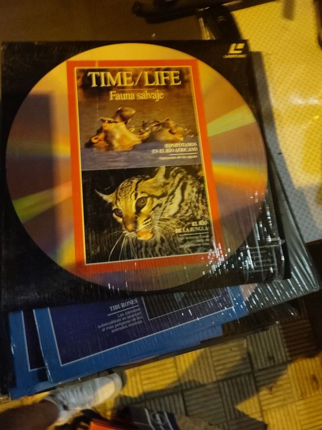 14 laser disc fauna y mundo submarino