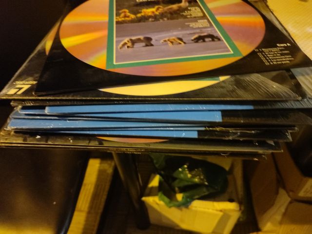 14 laser disc fauna y mundo submarino