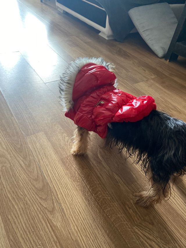 Chaqueta perro pequeño